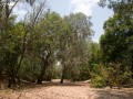 0921-1300 NT Kakadu (9212820)